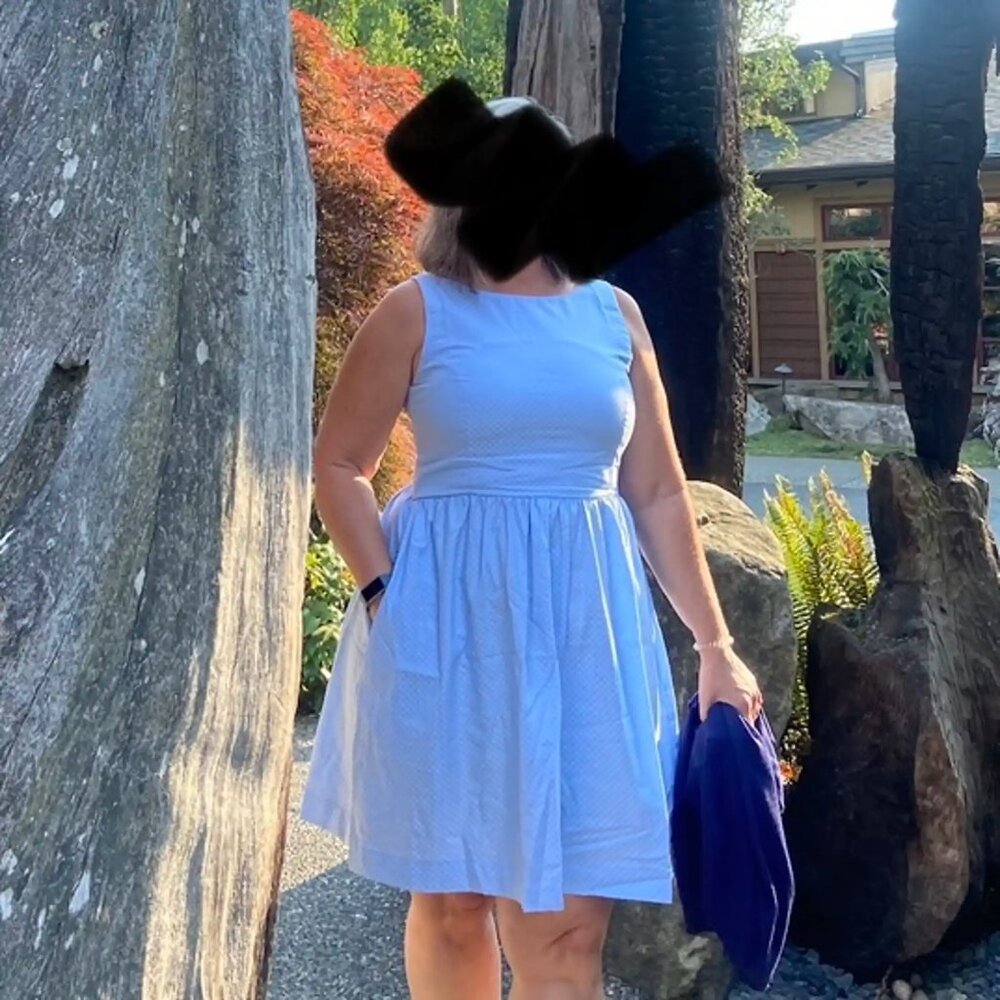 Tuesday of California Clambake Pinafore Dress